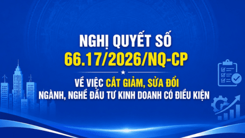 Chính phủ ban hành Nghị quyết số 66.17/2026/NQ-CP về việc cắt giảm, sửa đổi ngành, nghề đầu tư kinh doanh có điều kiện