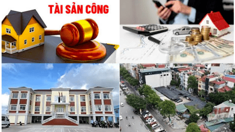 Chính phủ ban hành Nghị định số 186/2025/NĐ-CP quy định chi tiết một số điều của Luật Quản lý, sử dụng tài sản công có hiệu lực thi hành từ ngày 1/7/2025